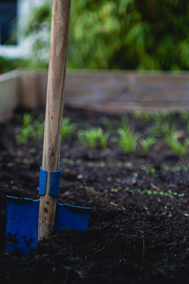 Choosing Pollinator-Friendly Plants for a Vibrant Yard